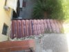 IMG_20200703_103631.jpg
