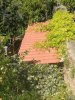 IMG_20200703_103648.jpg