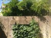 IMG_20200703_103825.jpg
