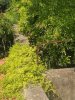 IMG_20200703_103707.jpg