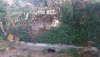 IMG-20200730-WA0037.jpg