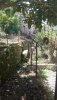 IMG-20200801-WA0012.jpg