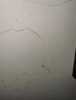 IMG_20201109_190420i.jpg