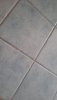 IMG-20201117-WA0001.jpg
