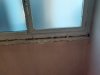 20210625_094941.jpg