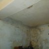IMG_20210406_121530.jpg