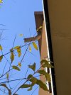 913B1AD9-5BAE-49C3-88F6-FDD28851B822.jpeg