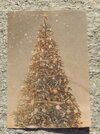DSCN4432.JPG