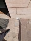 IMG_20220511_165845.jpg
