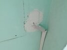 IMG_20220511_165927.jpg