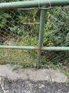 39C2BE51-8CEC-4D10-A195-DFB7EF5CA9AE.jpeg