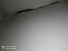 IMG_20221030_171958.jpg