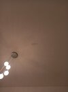 20231026_065414.jpg