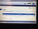 IMG_2037.jpeg