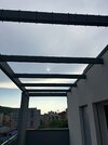 IMG_6686.jpg