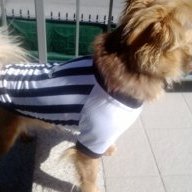 ramon
