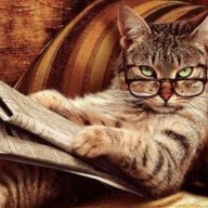gattosofia
