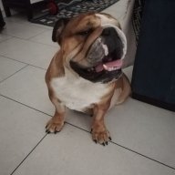nino lo presti