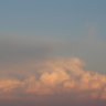 Carola_71