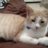 Cassy71261