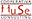 www.coopmuse.it
